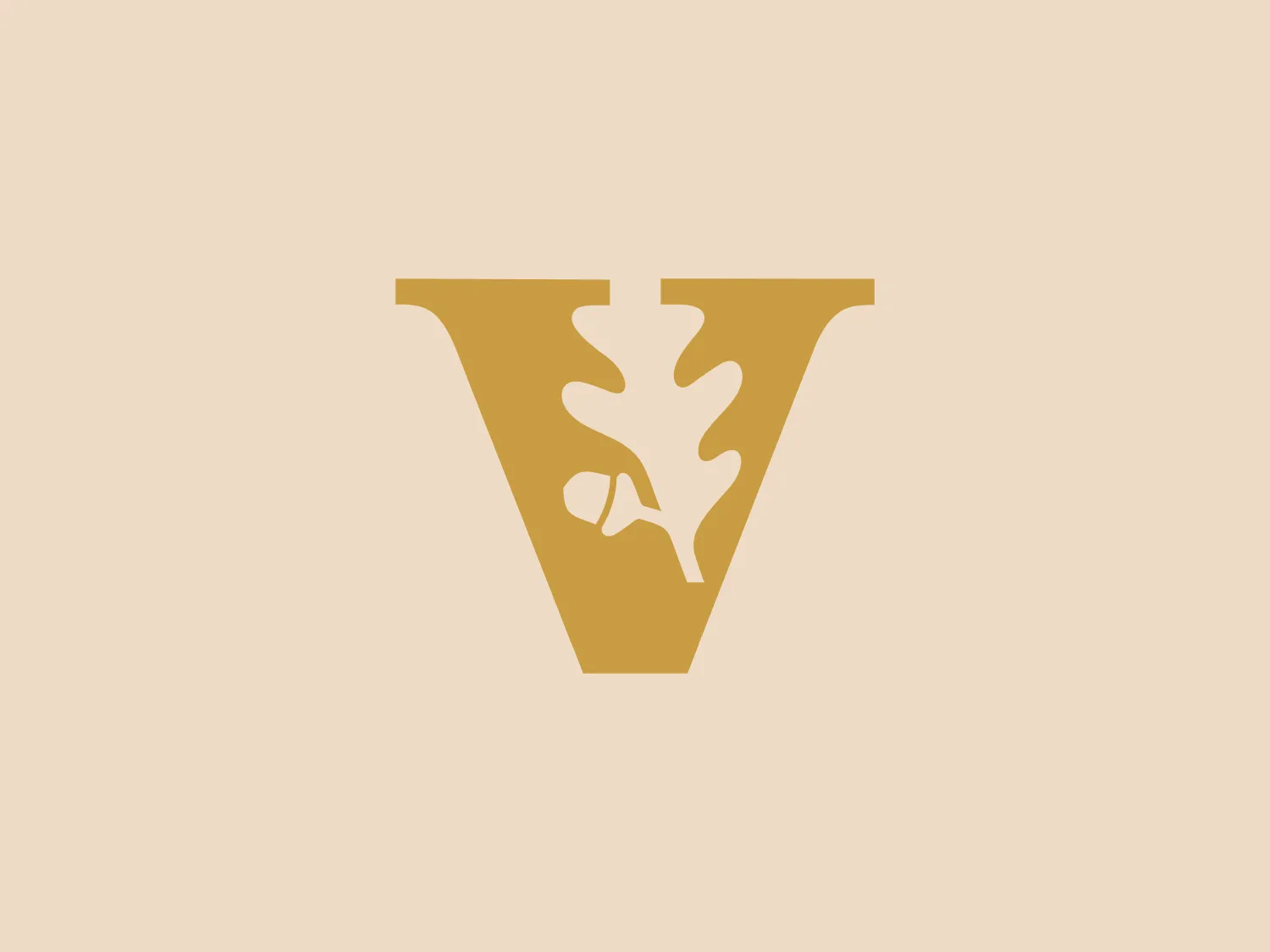 The Vanderbilt University logo features a stylized gold or mustard-colored oak leaf situated inside a shape that resembles an inverted triangle with its sides curved inward, giving it a shield-like appearance. The leaf is detailed with cuts and curves that imitate natural leaf veins, creating a sense of organic elegance. The logo's use of a single color and negative space within the geometric shape makes it modern and minimalist, with a possible nod to environmental or natural themes. Given its color and style, a neutral background would be complimentary.